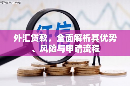 鄄城外汇贷款，全面解析其优势、风险与申请流程