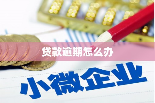 鄄城贷款逾期怎么办