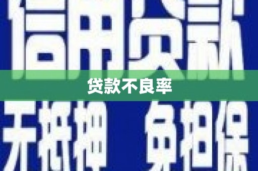 鄄城贷款不良率