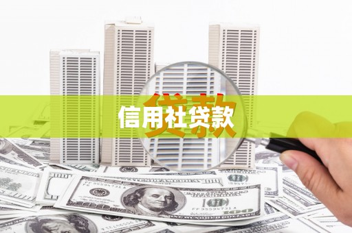 鄄城信用社贷款
