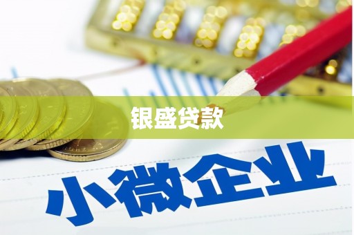 鄄城银盛贷款