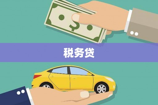 鄄城税务贷
