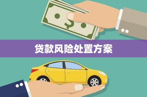 鄄城贷款风险处置方案