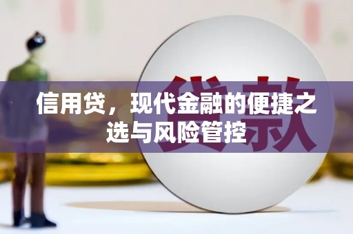 鄄城信用贷，现代金融的便捷之选与风险管控