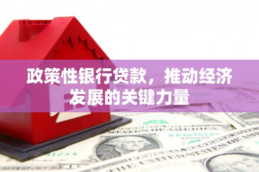 鄄城政策性银行贷款，推动经济发展的关键力量