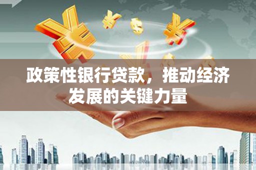 鄄城政策性银行贷款，推动经济发展的关键力量
