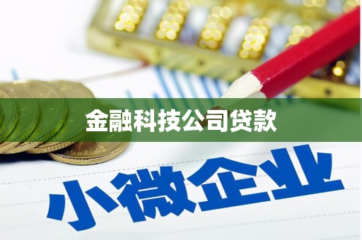 鄄城金融科技公司贷款
