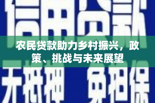 鄄城农民贷款助力乡村振兴，政策、挑战与未来展望