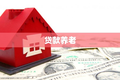鄄城贷款养老