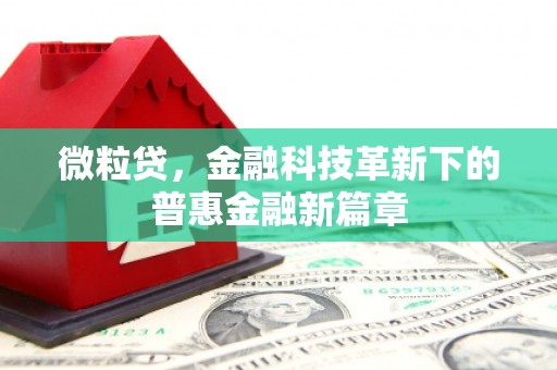 鄄城微粒贷，金融科技革新下的普惠金融新篇章