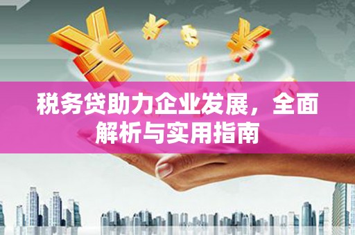鄄城税务贷助力企业发展，全面解析与实用指南
