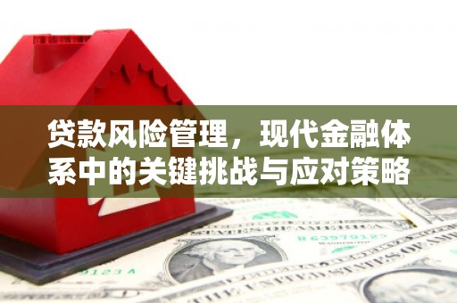 鄄城贷款风险管理，现代金融体系中的关键挑战与应对策略