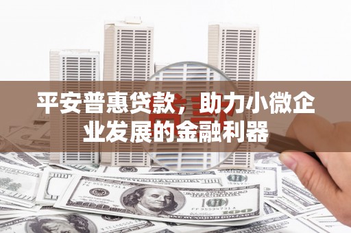 鄄城平安普惠贷款，助力小微企业发展的金融利器